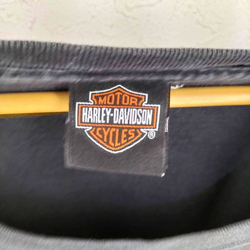 ハーレーダビッドソン HARLEY-DAVIDSON 00s ファイヤーパターン ガール バイク プリント Tシャツ メンズ 2X