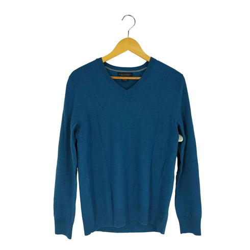 バナナリパブリック BANANA REPUBLIC EXTRA FINE MERINO Vネックニット メンズ import:L