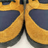 ナイキエーシージー NIKE ACG Torre Mid Burnt Sienna and Obsidian トーレミッド ハイカットスニーカー メンズ 29cm
