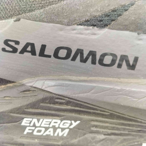 サロモン SALOMON SENSE RIDE 5 GTX センスライド5 メンズ JPN:27
