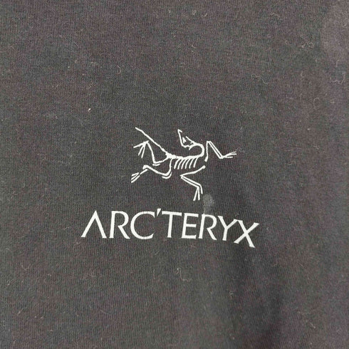 アークテリクス ARCTERYX KRAGG SL COTTON EMBLEM CREW SS W クラッグ SL コットン エンブレム クルー ショートスリーブ Tシャツ レディース import:XS