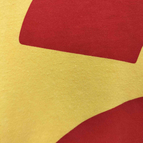 アンディウォーホル バイヒステリックグラマー andy warhol by HYSTERIC GLAMOUR BIG A S/S TEE ビッグプリント Tシャツ メンズ JPN:S