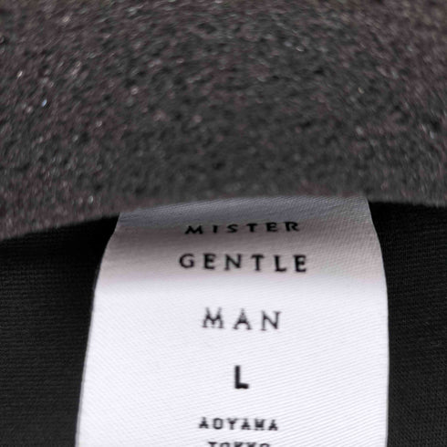 ミスタージェントルマン MISTERGENTLEMAN レイヤード L/S Tシャツ メンズ JPN:L