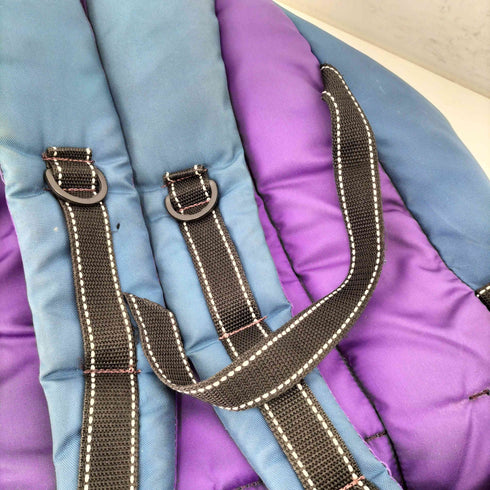 ザノースフェイス THE NORTH FACE USA製 バックパック メンズ