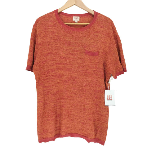 ジェイプレス J.PRESS パイル地SSトップス メンズ L