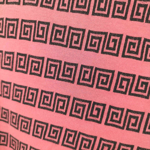 ステューシー Stussy Spiral Stripe T-SHIRTS メンズ import:L