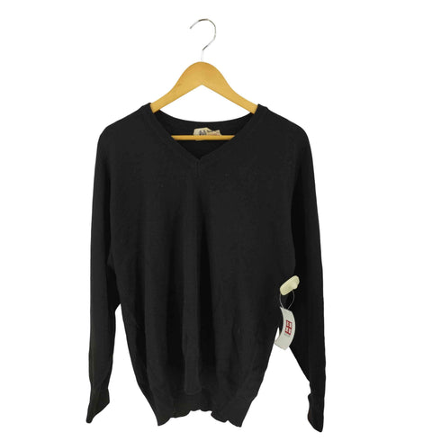 カシミヤ Vネック ニット メンズ import:L