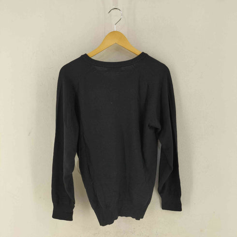 カシミヤ Vネック ニット メンズ import:L