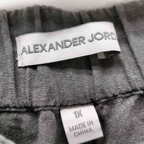 ALEXANDER JORDAN リネン ビスコース 混紡 オーバーサイズ イージー バギー パンツ オーバーパンツ 極太 メンズ 1X