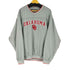 COLOSSEUM A THLETICS 裏地メッシュ アーチロゴ ナイロンプルオーバー メンズ XL