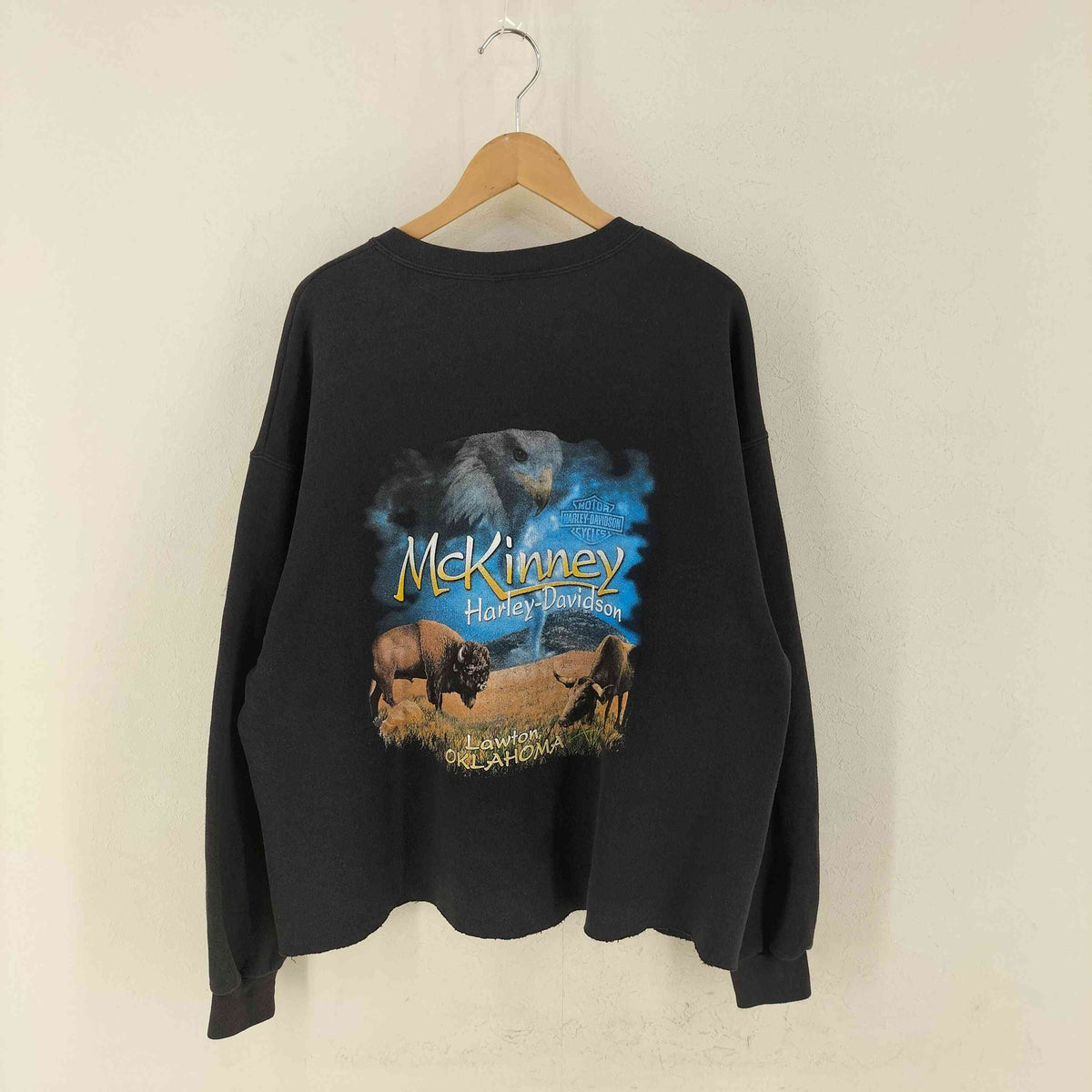 HARLEY-DAVIDSON ハーレーダビッドソン スウェット 両面プリント ハーレーダビッドソン HARLEY-DAVIDSON ロゴ アニマル 両面プリント