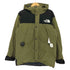 ザノースフェイス THE NORTH FACE Mountain Down Jacket ゴアテックス マウンテンダウンジャケット メンズ import:M