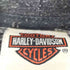 ハーレーダビッドソン HARLEY-DAVIDSON 90-00s Skull Grunge Hoodie メンズ L