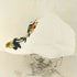アンダーカバー UNDERCOVER Butterfly 総柄 Cap キャップ メンズ FREE