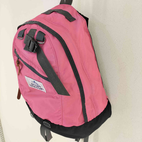 グレゴリー GREGORY 別注 VINTAGE NICE DAY FUCHSIA バックパック レディース