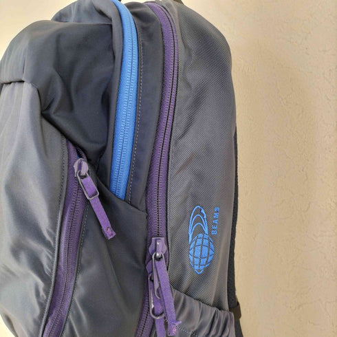 アークテリクス ARCTERYX 別注 MANTIS 26 マンティス 26 バックパック レディース