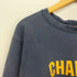 チャンピオン Champion 90s USA製 CHAMPION PRODUCTS リバースウィーブ 両面 クラックプリント クルーネックスウェット メンズ import:L