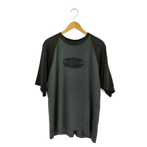 ハーレーダビッドソン HARLEY-DAVIDSON 00s USA製 ロゴフロッキープリント ラグランスリーブ クルーネック S/S Tシャツ Y2K メンズ import:XL