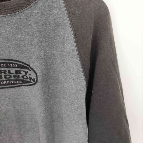 ハーレーダビッドソン HARLEY-DAVIDSON 00s USA製 ロゴフロッキープリント ラグランスリーブ クルーネック S/S Tシャツ Y2K メンズ import:XL
