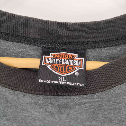 ハーレーダビッドソン HARLEY-DAVIDSON 00s USA製 ロゴフロッキープリント ラグランスリーブ クルーネック S/S Tシャツ Y2K メンズ import:XL