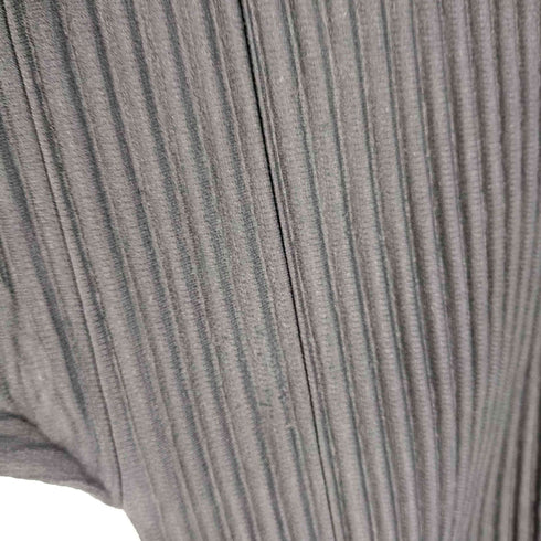 オムプリッセイッセイミヤケ HOMME PLISSE ISSEY MIYAKE 23AW MONTHLY COLOR JUNE プリーツジップフーディ メンズ JPN:2