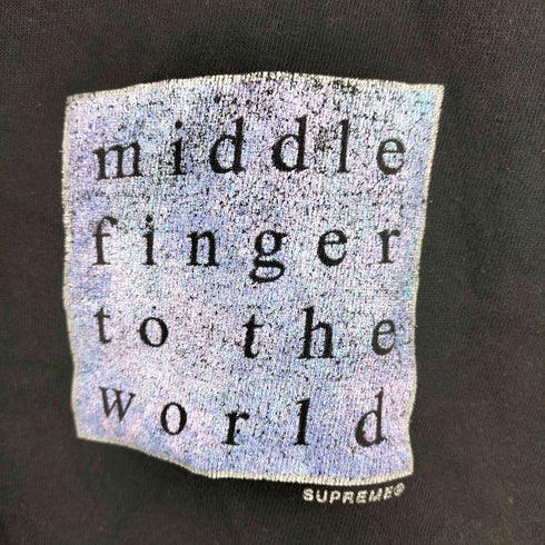 シュプリーム Supreme 19SS Middle Finger To The World Tee メンズ JPN:XL