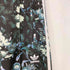 アディダスオリジナルス adidas Originals Flower Firebird Track Pants レディース JPN:M
