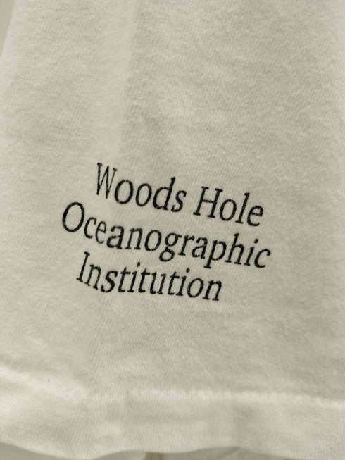 80S Hanes ボディ FISHABET アルファベット  魚 プリント Tシャツ 袖シングル コピーライト 1989 メンズ import:L