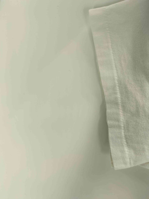 80S Hanes ボディ FISHABET アルファベット  魚 プリント Tシャツ 袖シングル コピーライト 1989 メンズ import:L