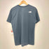 ザノースフェイス THE NORTH FACE S/S GEAR TEE メンズ import:M