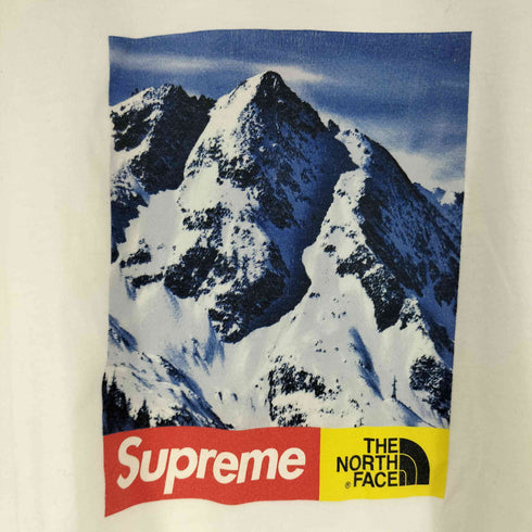 シュプリーム Supreme Mountain Tee メンズ JPN:M