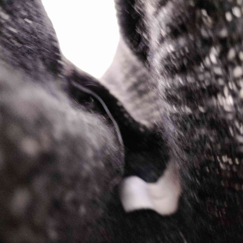 シュガーヒル SUGARHILL PLATING KNIT BALACLAVA プレーティング ニット バラクラバ メンズ