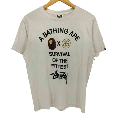 ステューシー Stussy ロゴプリント クルーネック S/S Tシャツ メンズ import:M