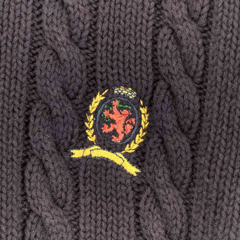トミーヒルフィガー TOMMY HILFIGER Vネックケーブル編みコットンニット メンズ import:XL