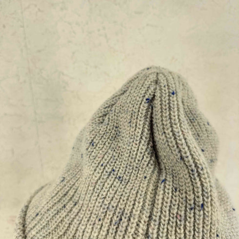 ピルグリムサーフプラスサプライ Pilgrim Surf+Supply druthers NYC Lambswool Blend Ribbed Hat ビーニ メンズ