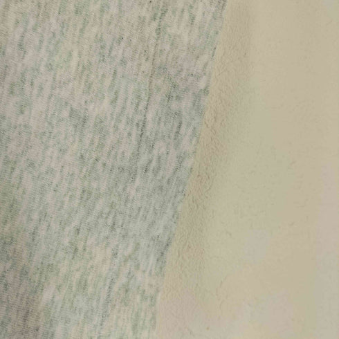 フルーツオブザルーム FRUIT OF THE LOOM 90S UAS製 Princeton University Outdoor ction 大学プリントTシャツ メンズ import:XXL