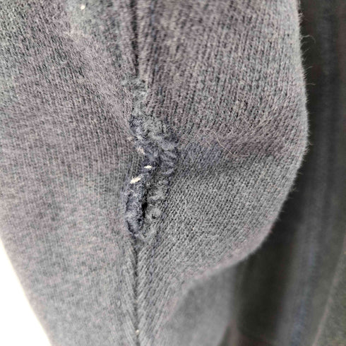 チャンピオン Champion 赤単タグ リバースウィーブプルオーバーパーカー メンズ import:M