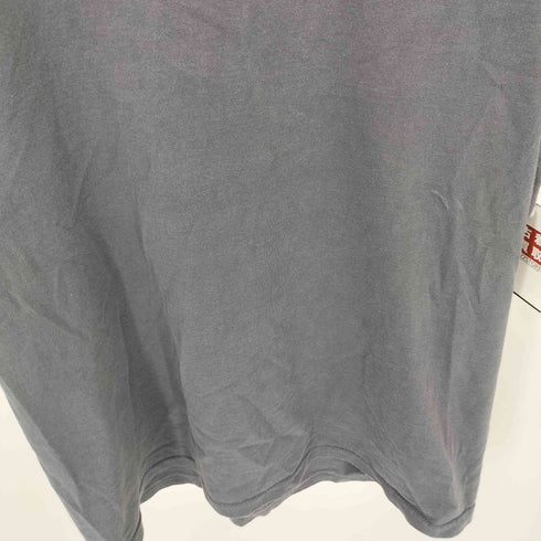 フルーツオブザルーム FRUIT OF THE LOOM スピリットロゴプリント クルーネックTシャツ メンズ import:L