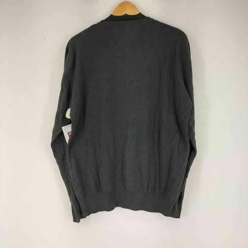 ラルフローレン RALPH LAUREN Vネック コットンニット メンズ M