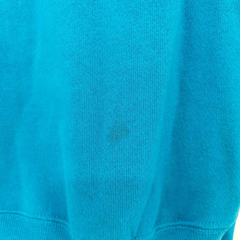 ヘインズ Hanes USA製 企業ロゴ スウェット メンズ import:XL