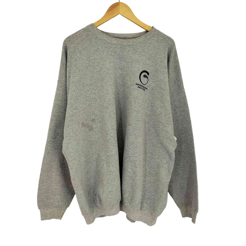 ポートアンドカンパニー PORT and COMPANY 企業ロゴプリント クルーネック L/S スウェット メンズ 2XL