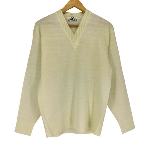 SANSET Vネックニット メンズ import:L