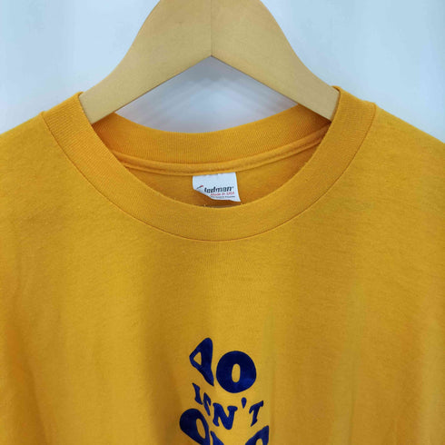 ステッドマン STEDMAN 90s USA製 シングルステッチ フロッキープリント クルーネック Tシャツ メンズ import:XXL