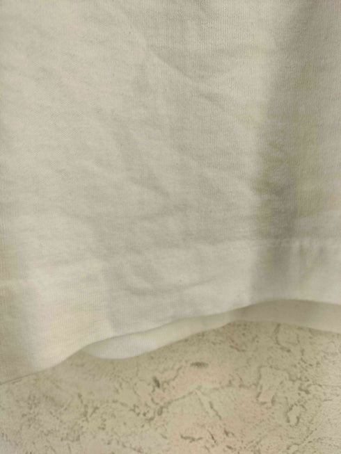 フルーツオブザルーム FRUIT OF THE LOOM 90S USA製 I.C.DECOYS プリントTシャツ メンズ import:XL