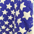 SUMMER STRAND USA製 GO AMERICA 星条旗 フロッキープリント Tシャツ メンズ import:L