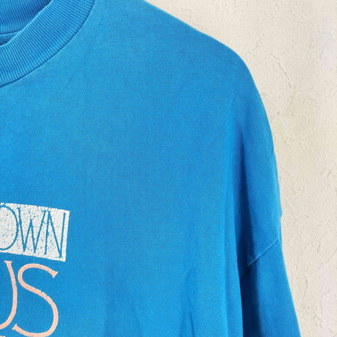 ヘインズ Hanes 90S USA製 BEEFY-T Venus Envy プリントTシャツ メンズ import:XL