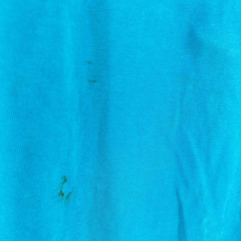 ヘインズ Hanes 90S USA製 BEEFY-T Venus Envy プリントTシャツ メンズ import:XL