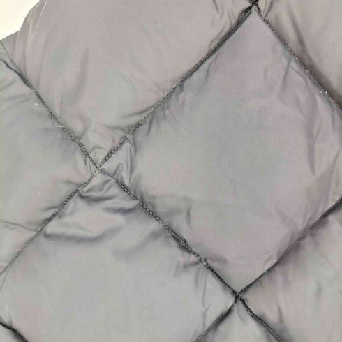 ザノースフェイス THE NORTH FACE TAMBAKOSHI VEST レディース import:M