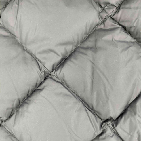 ザノースフェイス THE NORTH FACE TAMBAKOSHI VEST レディース import:M