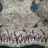 East Wind by Alps ノルディック ニット メンズ import:XL